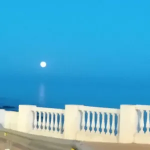 https://plaza-del-remo-seewtbeach.hotelsinnerja.org